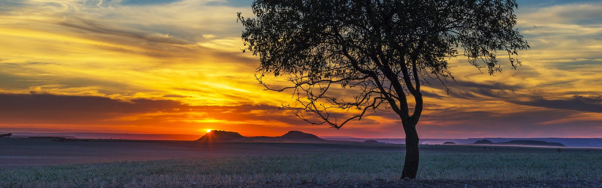 Confidential Addiction Services